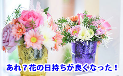 あれ?花の日持ちが良くなった!